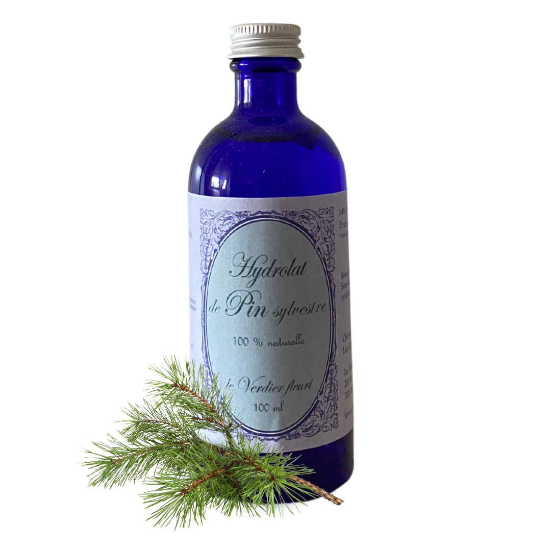 Eau florale de Pin sylvestre - 100 ml
