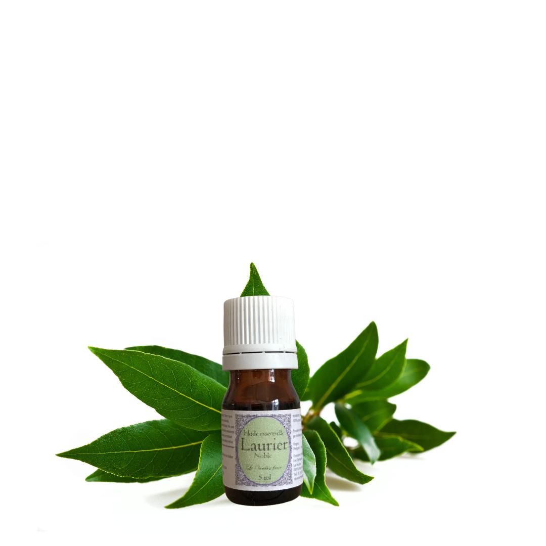 Huile essentielle de Laurier